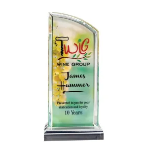 Acrylic Sublimation Curve Award