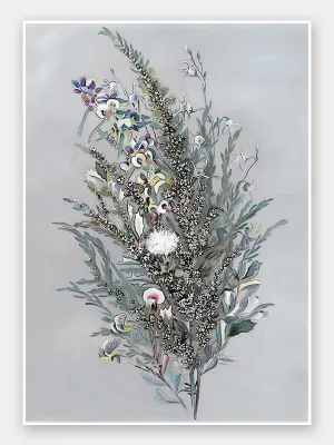 Grevillea Unframed Art Print