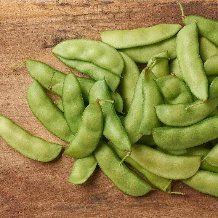 Henderson Lima Bush Bean Seeds (Organic)