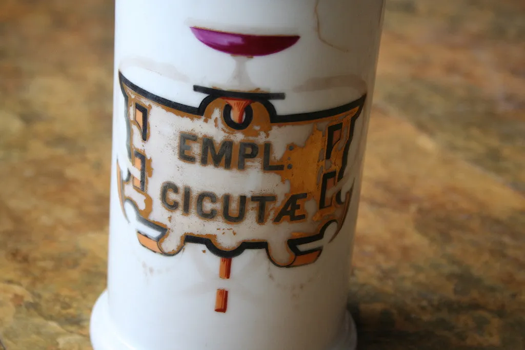 Porcelain Apothecary Jar